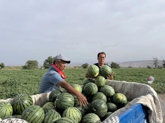 吃瓜能有多积极,揭秘吃瓜的积极面