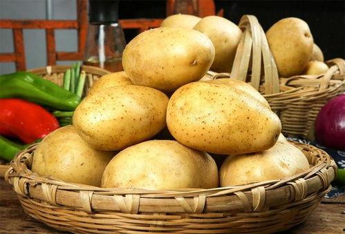 土豆吃瓜群,揭秘网络社交新潮流