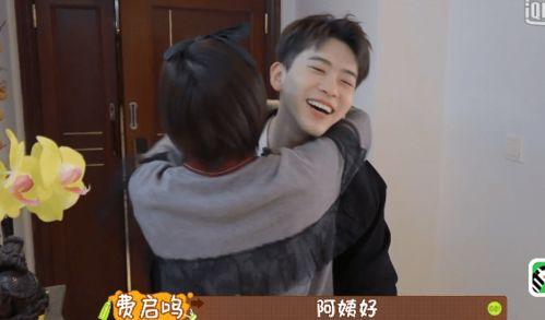 费启鸣吃瓜,揭秘娱乐圈幕后真相