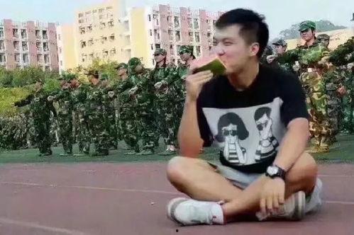 张浩然吃瓜群众,吃瓜群众的视角解读娱乐圈风云