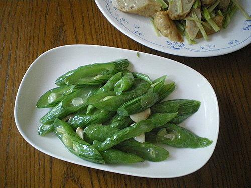 吃瓜与蛇,揭秘神秘生物的生存智慧