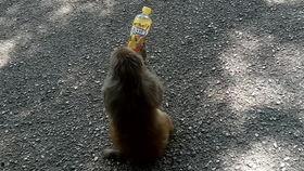 318王者吃瓜,揭秘电竞圈幕后风云