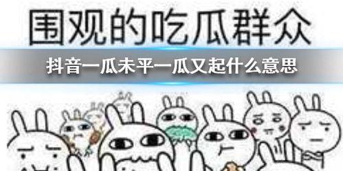 抖音每天吃瓜,揭秘娱乐圈新鲜事