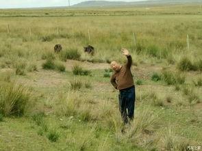 前进农场吃瓜,共享丰收喜悦