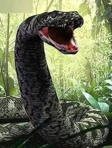 安徽美杜莎吃瓜事件,一场网络恶搞引发的争议与反思