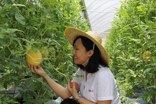 青州论坛吃瓜,揭秘网络热议背后的真相