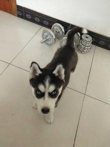 瓜子吃瓜哈,欢乐无限，一起哈皮！