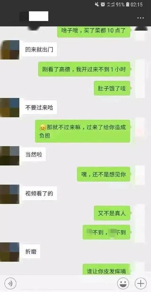 吃瓜聊天记录黄色瓜,吃瓜聊天记录中的黄色瓜风波