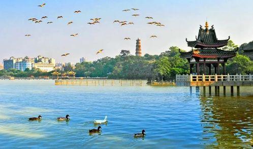 惠州东江公园吃瓜,夏日吃瓜好去处，尽享悠闲时光