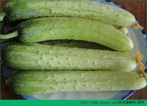 老瓜吃白菜,白菜的别样风味