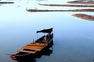 小舟舟吃蜜瓜,小舟舟甜蜜蜜瓜之旅