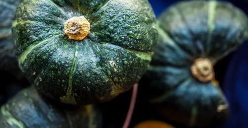 吃瓜姐妹吃不胖,揭秘吃不胖的秘密法则