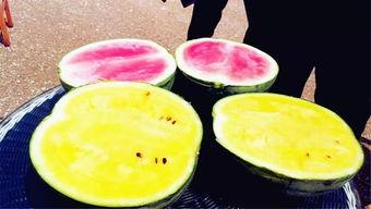 吃瓜东北爆料,独家爆料背后的故事