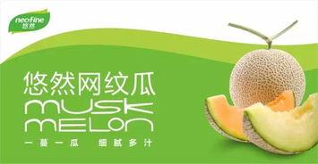 悠闲吃瓜小说,小说世界里的悠闲生活