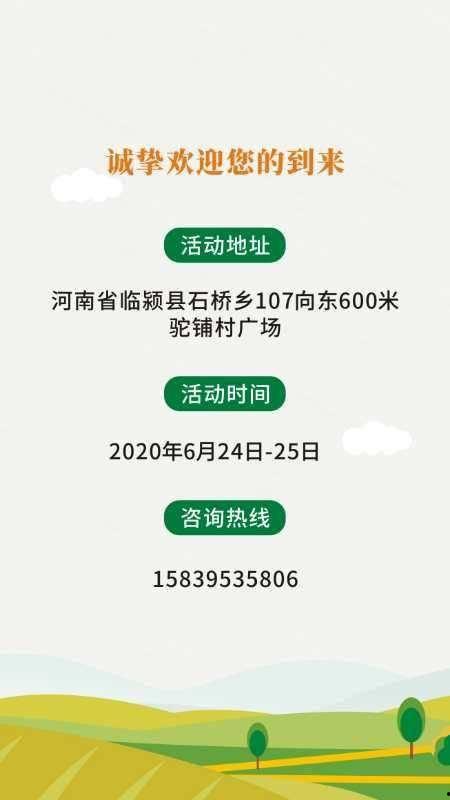 举办吃瓜活动方案