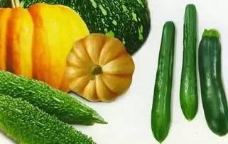 吃瓜的电,揭秘“吃瓜”背后的电能源消耗之谜