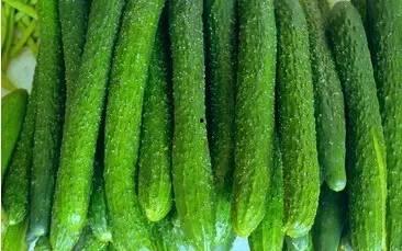 浙江吃的瓜,品味江南瓜香四溢