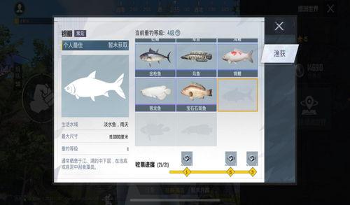 吃鸡绿洲世界怎么吃瓜,揭秘吃鸡游戏里的瓜分之道