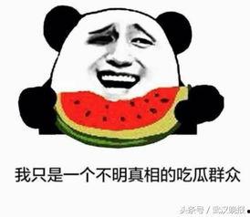 吃瓜群众的成长,成长中的视角转变