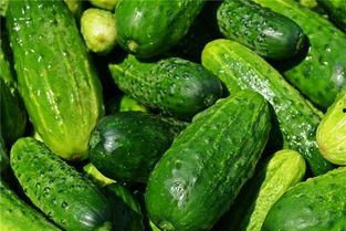 梦见吃生瓜尖,揭秘吃生瓜尖的神秘寓意