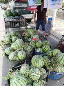 饶平最新吃瓜事件