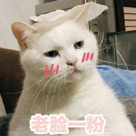 晚安吃瓜表情包